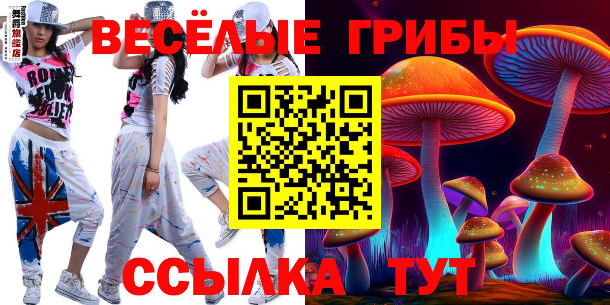 где можно купить наркотик  Псилоцибиновые грибы Psilocybine cubensis  Вход с VPN  Дзержинск 